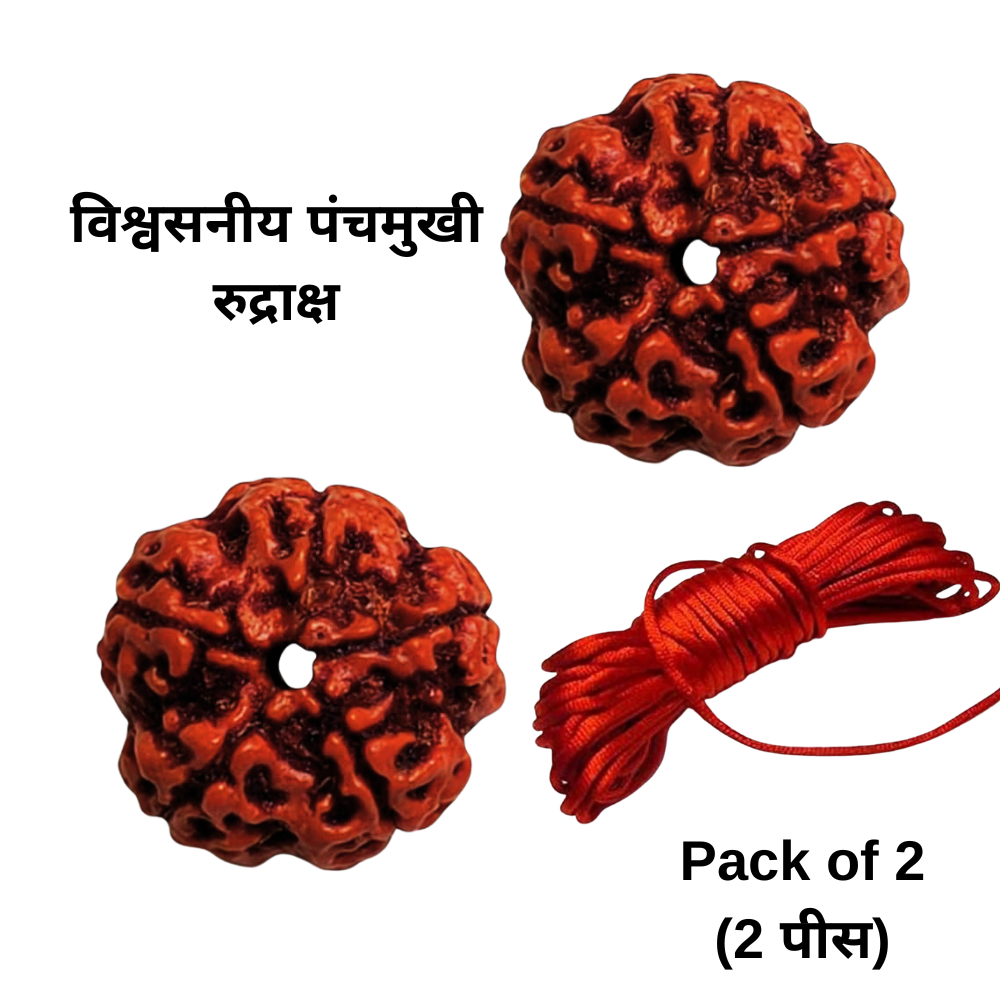 Panch Mukhi Rudraksha Beads